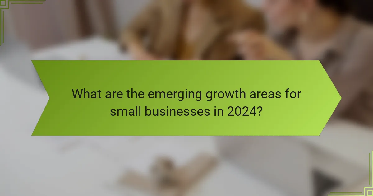 What are the emerging growth areas for small businesses in 2024?