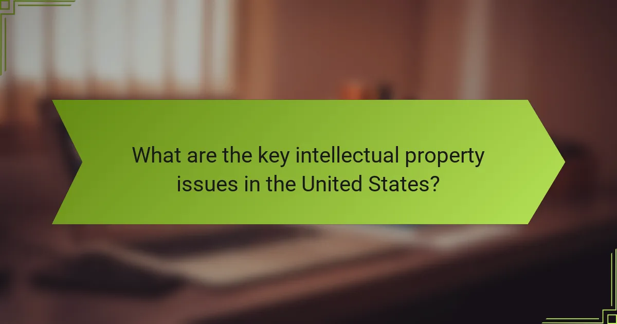 What are the key intellectual property issues in the United States?